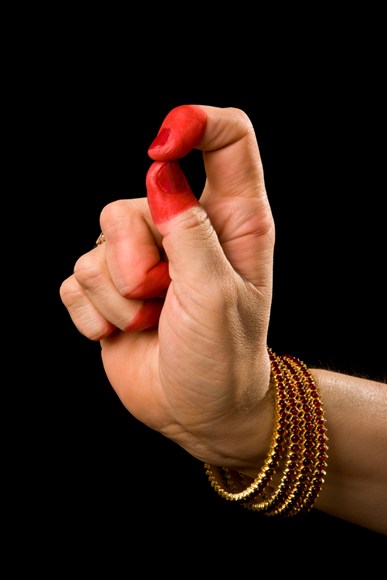 Bharatanatyam Mudras Chart