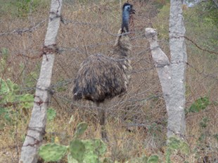 Identify with Nature - Lost thy self in New York, NY