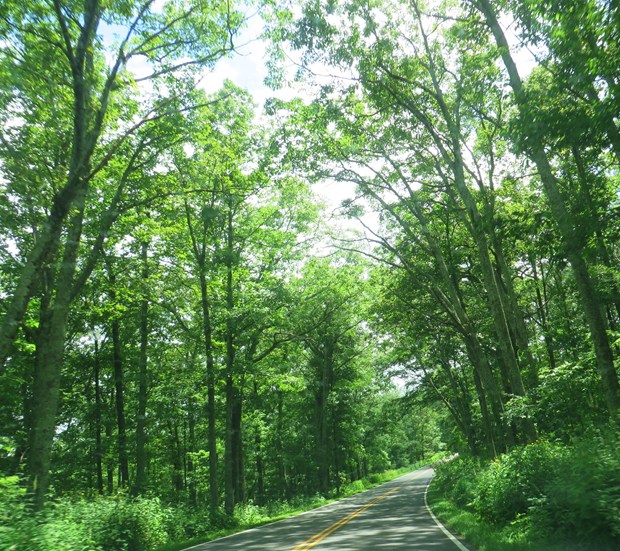 The Many Moods of the Shenandoah! in New York, NY