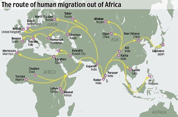 Human Migrations And Ethnic Grouping Sulekha Creative