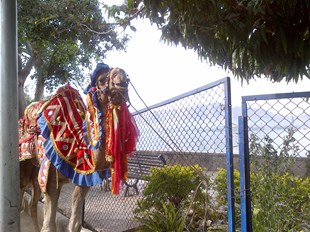 The favored marriage destination,Udaipur (photoblog) in New York, NY