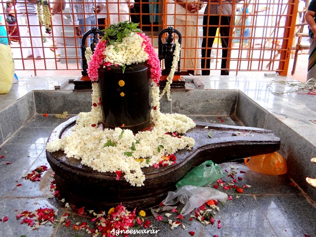  Kumbhabhishekham  of Lord Agneeswarar Temple, Neyveli, Thiruvallur.-- Photo Blog in New York, NY