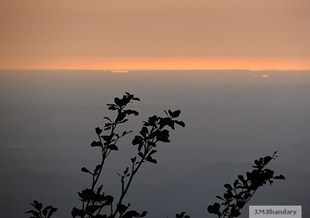Agumbe in New York, NY
