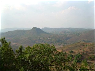 Araku Valley in New York, NY