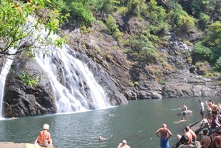 Dudhsagar Falls - Goa's best kept secret in New York, NY