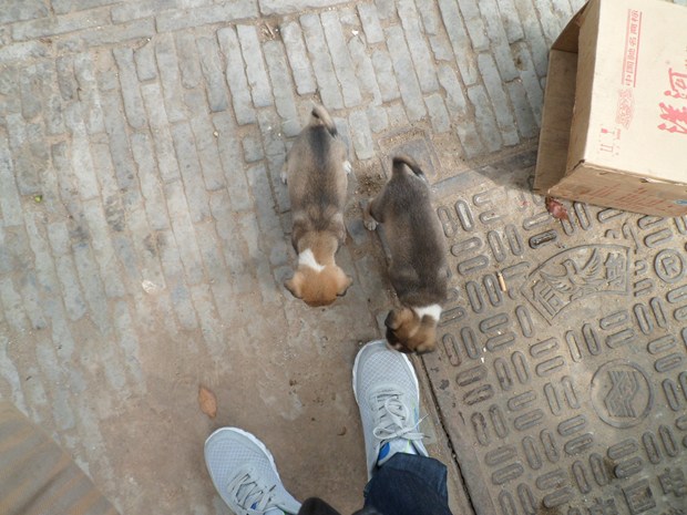 China Suzhou Trip5 in New York, NY