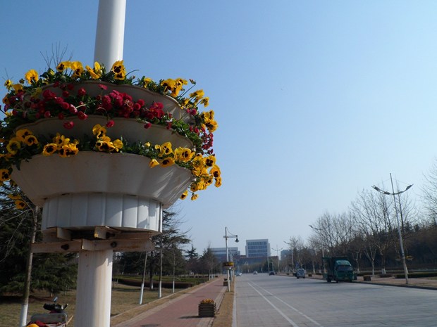 My hometown  1 in New York, NY