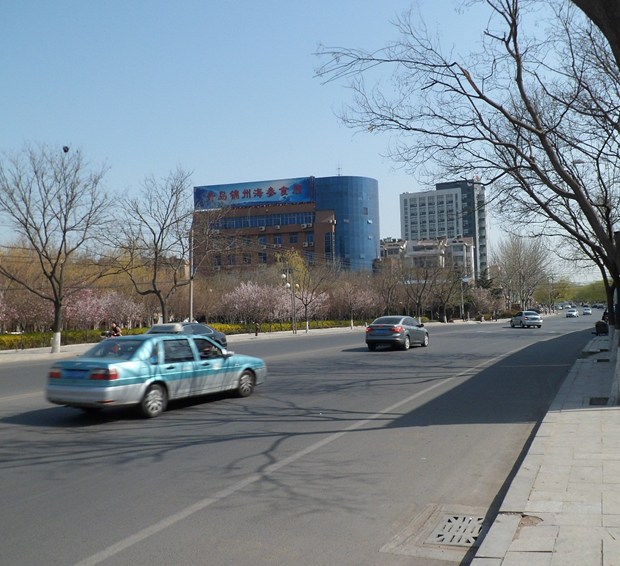 My hometown 2 in New York, NY