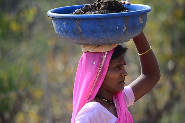 Nagzira Forest: Wildlife Sanctuary of Wild Beauty   in New York, NY