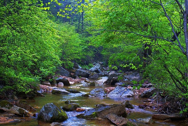 Romantic fashion Dalian,,,4 in New York, NY