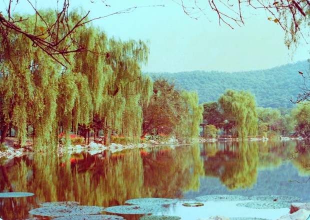 Destinations: China (1982): HANGZHOU in New York, NY