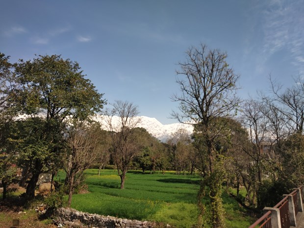 A precious moment with my mother Satya @ Ansoli (Feb. 27, 2019) The-snowy-himalayan-dhauladar-range-view-from-my-home-in-ansoli-march-1-2019-1