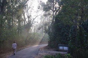 SOUNDS OF SILENCE- those magical moments with the Nature in Coorg in New York, NY