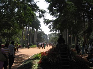 My Pilgrimages 46 Lalbagh ,  in New York, NY