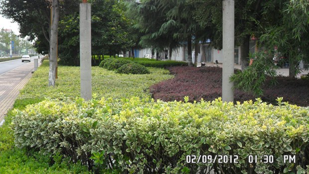 My Photos Of China