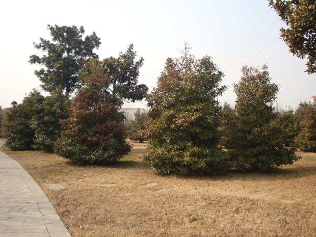 Exploring Taizhou With Tina.........Part 2 in New York, NY